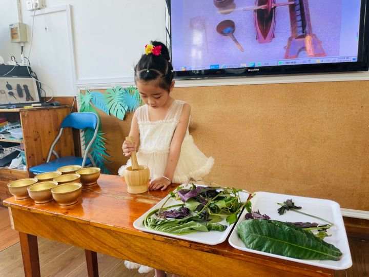 長樂鎮(zhèn)中心幼兒園開展“小小神農(nóng)識百草”探秘中草藥活動1.jpg