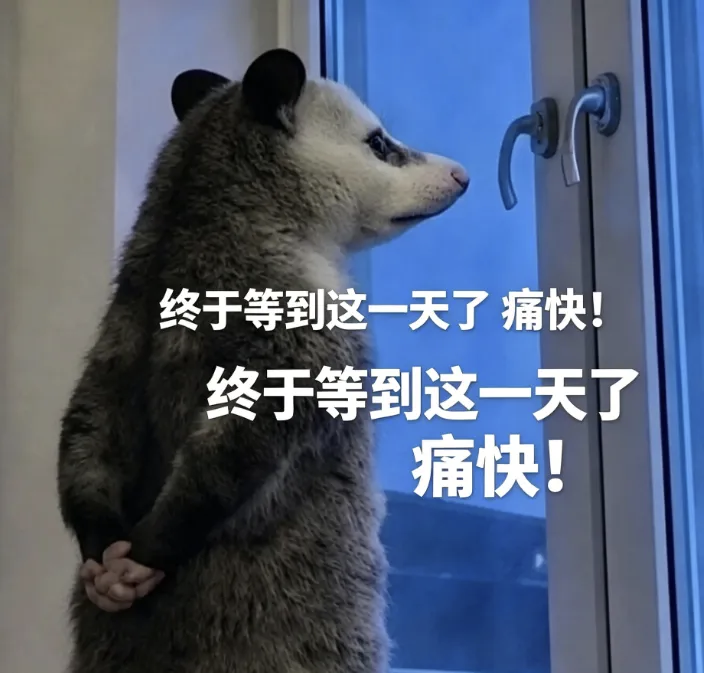 微信图片_20260610100950_13_19.png