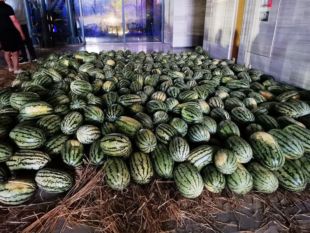 6d750d90f6ddf94a9620b5f81b7b0f8.jpg 6d750d90f6ddf94a9620b5f81b7b0f8.jpg