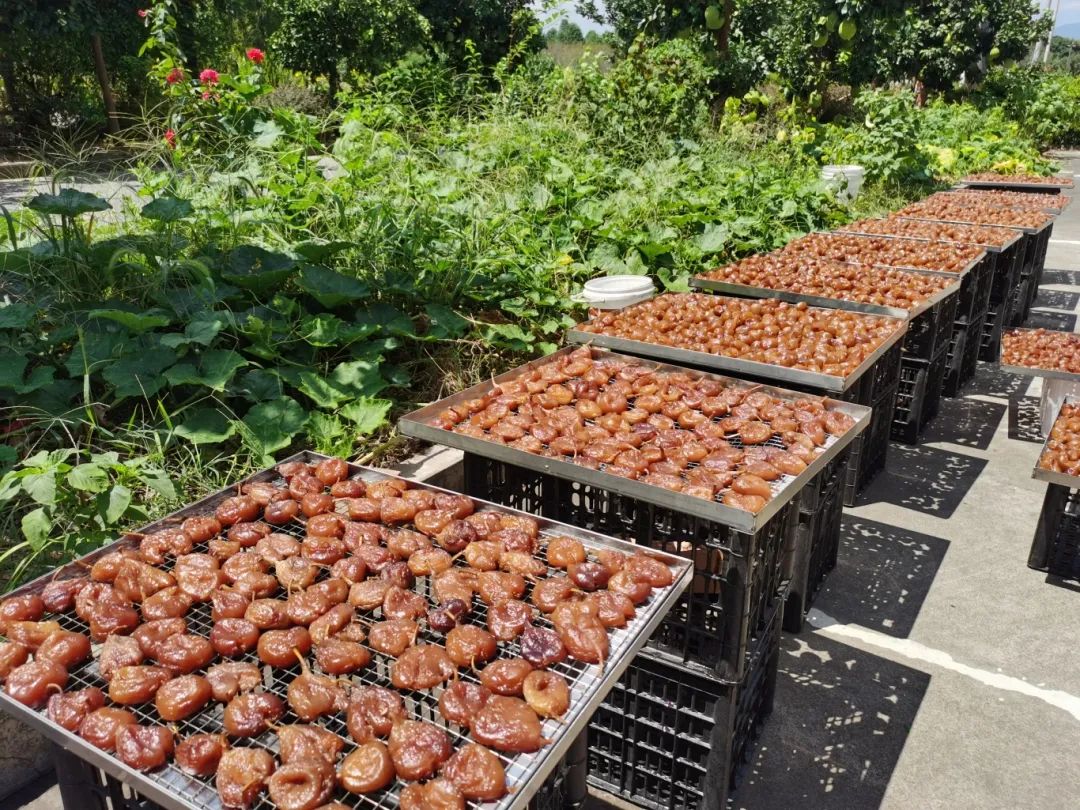 ca1d927bc71bd92c25cb695c9c16317a.jpg ca1d927bc71bd92c25cb695c9c16317a.jpg