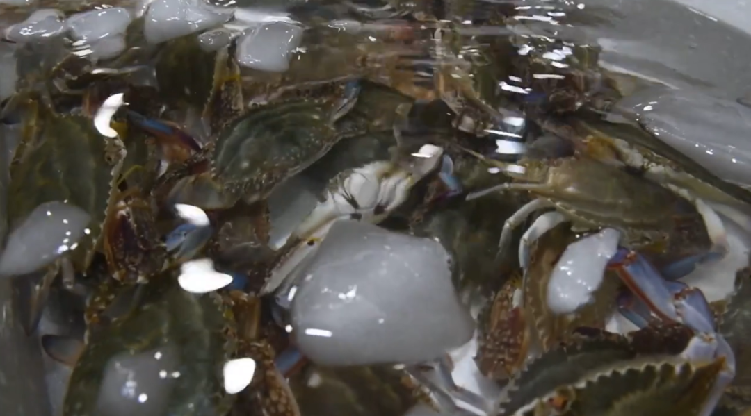 a23b2dd4d90c8a539ba9d592e6595eb5.png a23b2dd4d90c8a539ba9d592e6595eb5.png