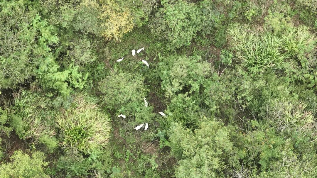 DJI_0397.JPG DJI_0397.JPG