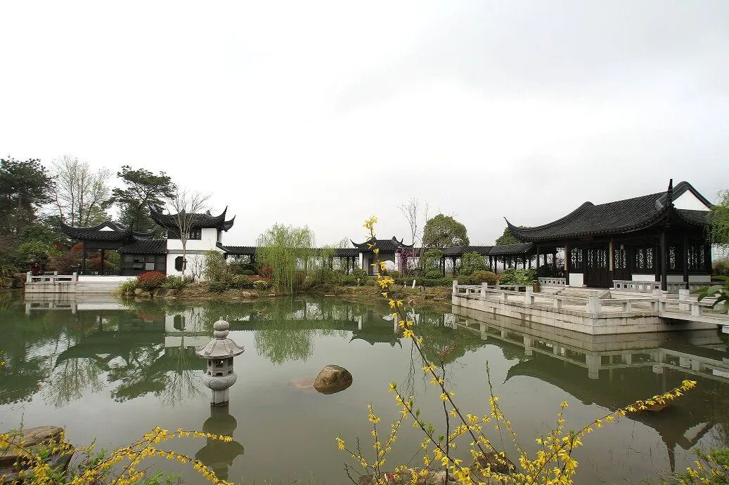 嵊州越剧艺校3.jpg