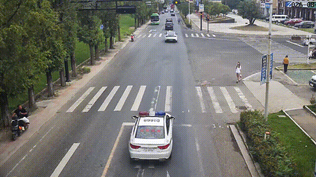 C1771.gif