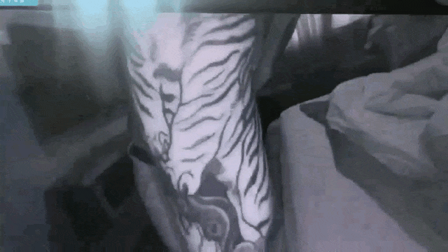 1.gif