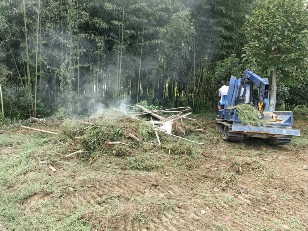 圖片7.png 圖片7.png