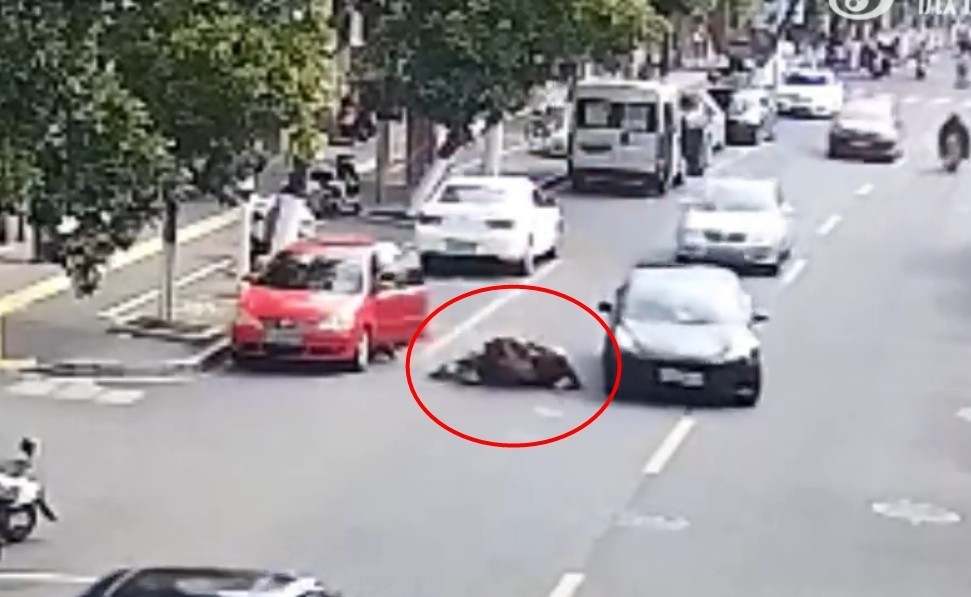 1708812020307_65da66f4c2852217c713ecc0.jpeg 1708812020307_65da66f4c2852217c713ecc0.jpeg