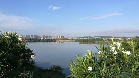 u=1973405415,159231486&fm=253&fmt=auto&app=138&f=JPEG_w=527&h=298.webp.jpg u=1973405415,159231486&fm=253&fmt=auto&app=138&f=JPEG_w=527&h=298.webp.jpg