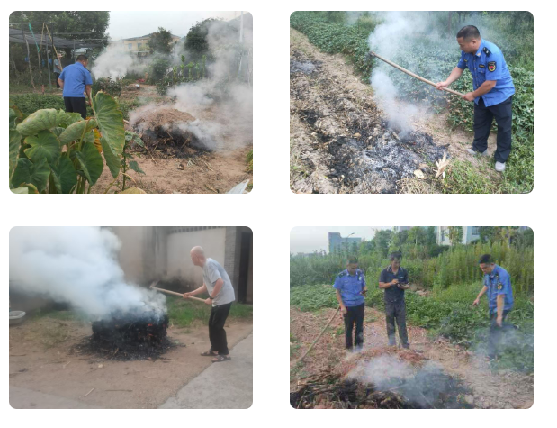 638613832921183290480750818.png 638613832921183290480750818.png