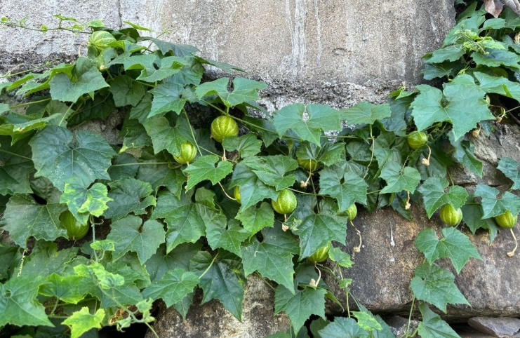 微信截圖_20250901094141.png 微信截圖_20250901094141.png