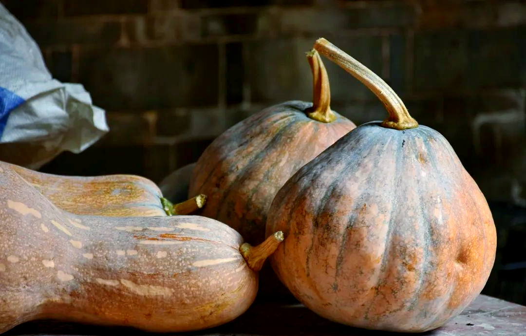 b684710252bfa189e667b819ed43d3bd.png b684710252bfa189e667b819ed43d3bd.png