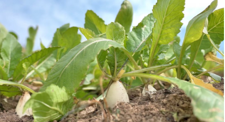 f563bbab-28cb-48a6-9fcf-e5381457e79b.png f563bbab-28cb-48a6-9fcf-e5381457e79b.png