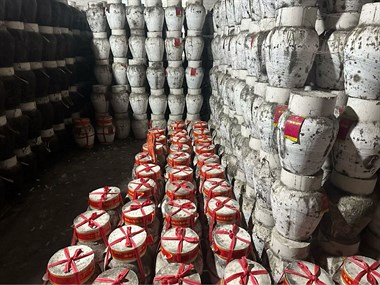 09505166411173686372372595.thumb.jpg 09505166411173686372372595.thumb.jpg