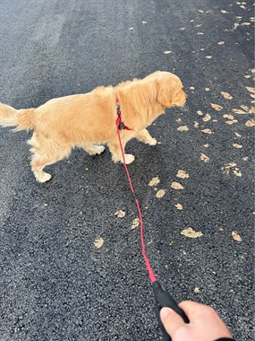 18175708061570608641483405.thumb.jpg 18175708061570608641483405.thumb.jpg