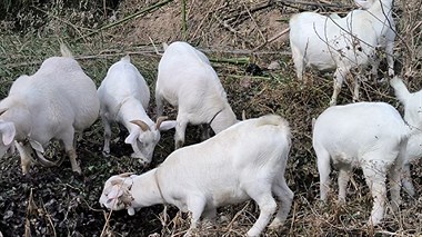 11335939607953223508420369.thumb.jpg 11335939607953223508420369.thumb.jpg