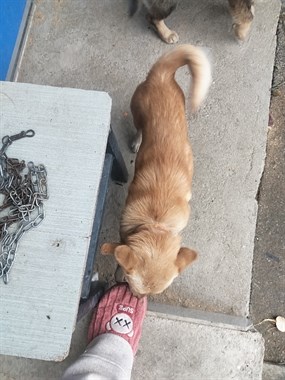 09342634963185261333365905.thumb.jpg 09342634963185261333365905.thumb.jpg