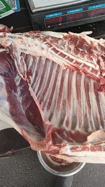 03491900301058217103250299.thumb.jpg 03491900301058217103250299.thumb.jpg